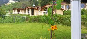the hillans resort and cottages