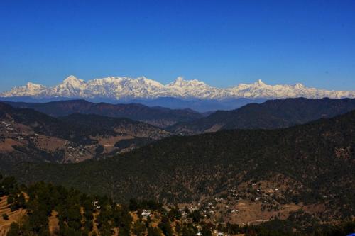 Traveller Hive Kasar Devi,Kasar Devi Village Matena, Near Trh, Deenapani, Uttarakhand 263601,2 star