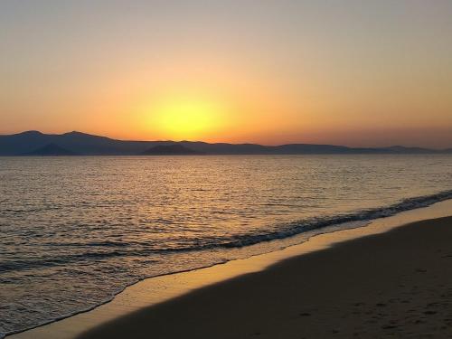 dream on plaka