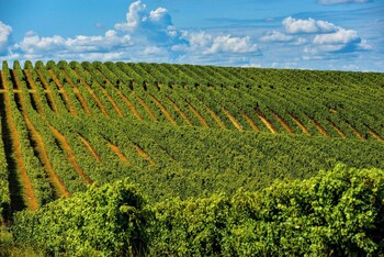 domaine de saint orens residence de vacances montreal du gers