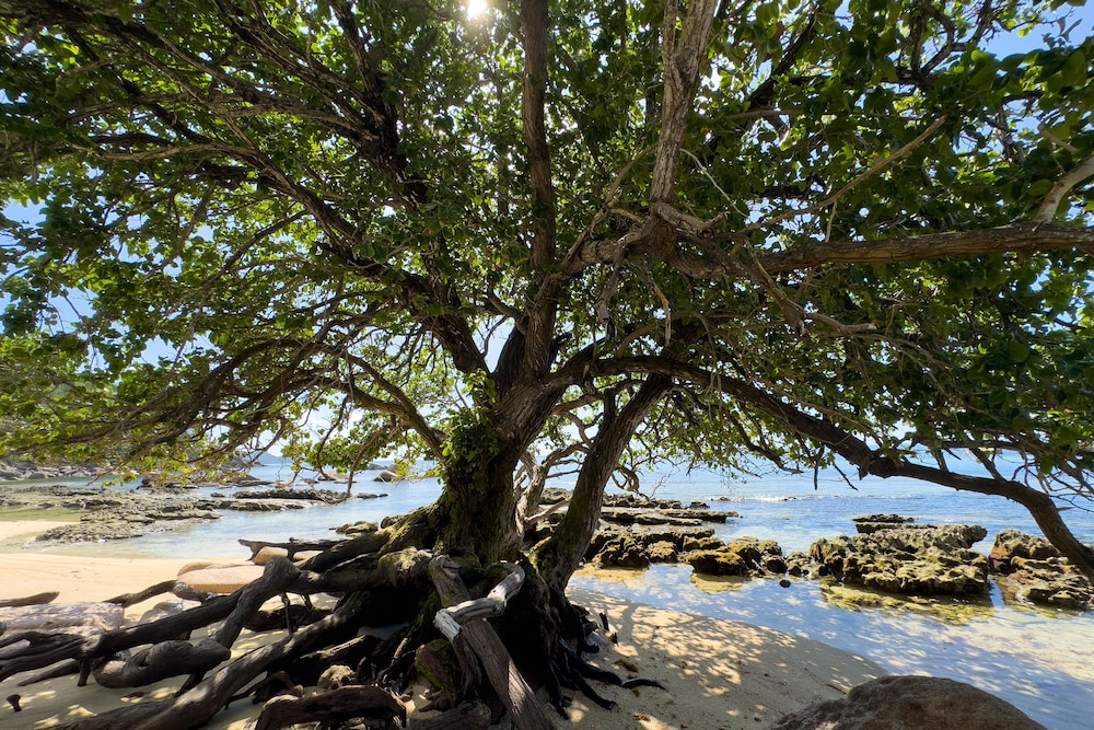 sea splash and la petite maison