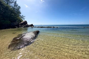 sea splash and la petite maison