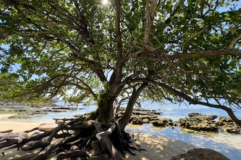 sea splash and la petite maison