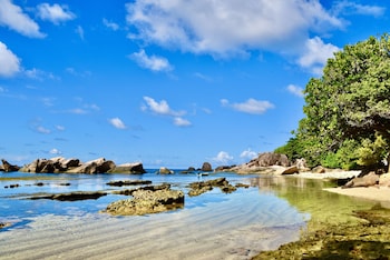 sea splash and la petite maison