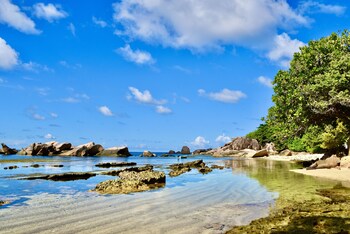 sea splash and la petite maison