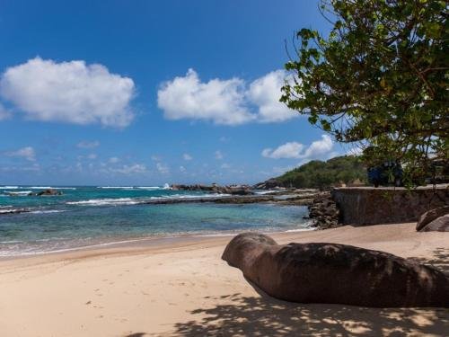 sea splash and la petite maison