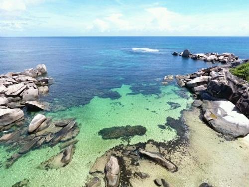 sea splash and la petite maison