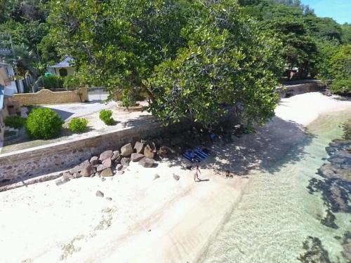 sea splash and la petite maison