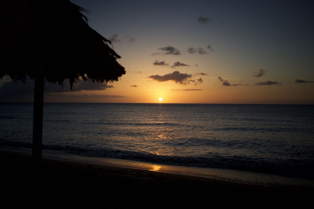 tropikist beach hotel and resort