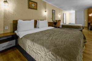 moss art hotel