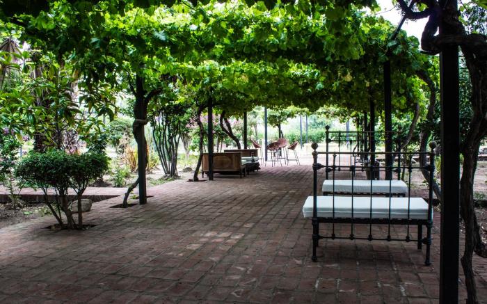 colchagua tiny lodge
