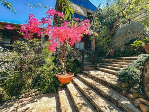 bazan home hotel and bungalow