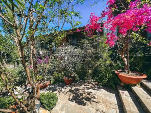 bazan home hotel and bungalow