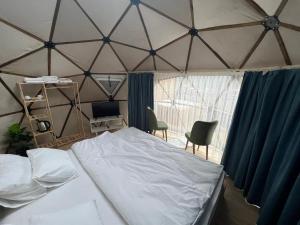 the hill glamping