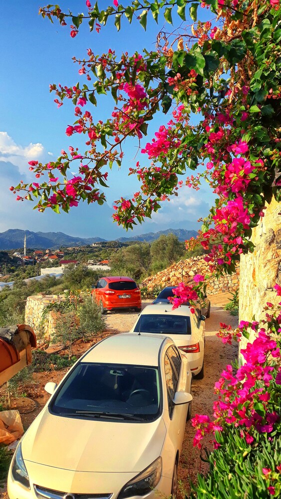 istlada tas ev apart