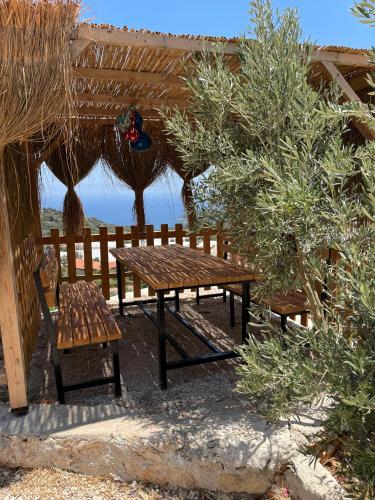 istlada tas ev apart