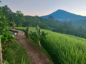 kts wanaprasta resort