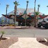 avi resort and casino