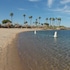 avi resort and casino