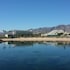 avi resort and casino