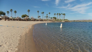 avi resort and casino