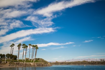 avi resort and casino