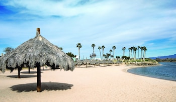avi resort and casino