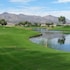 avi resort and casino