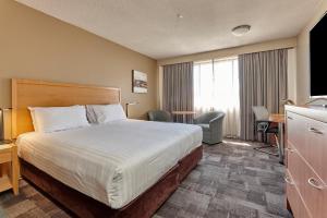 best western plus launceston