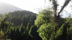 vamoose heema homestay