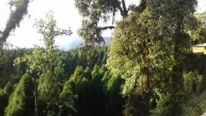 vamoose heema homestay