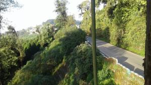 vamoose heema homestay