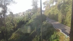 vamoose heema homestay