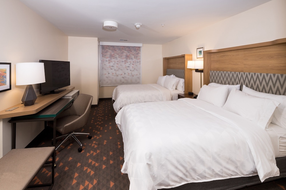 holiday inn hotel and suites ann arbor univ michigan area