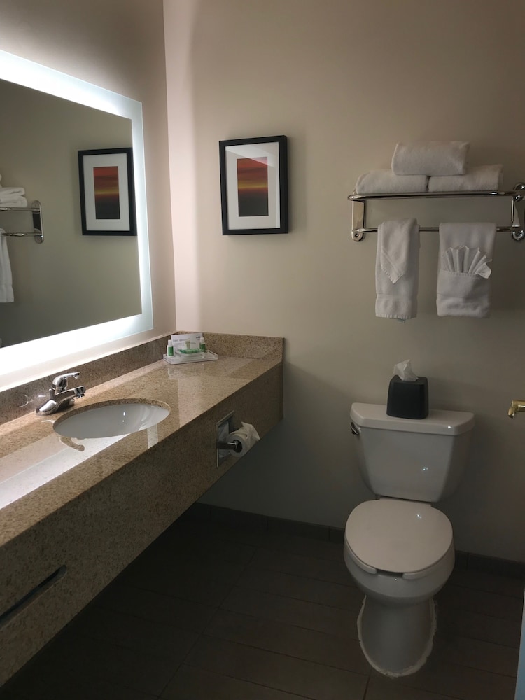 holiday inn hotel and suites ann arbor univ michigan area