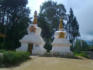 vamoose salakha