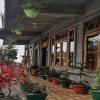 green valley home stay by stayapart