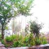 green valley home stay by stayapart