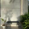 forest guesthouse
