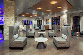 the mosey buffalo williamsville tapestry collection by hilton