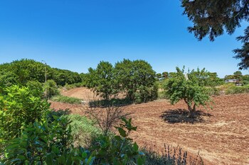 trullo del pomo bianco martina franca