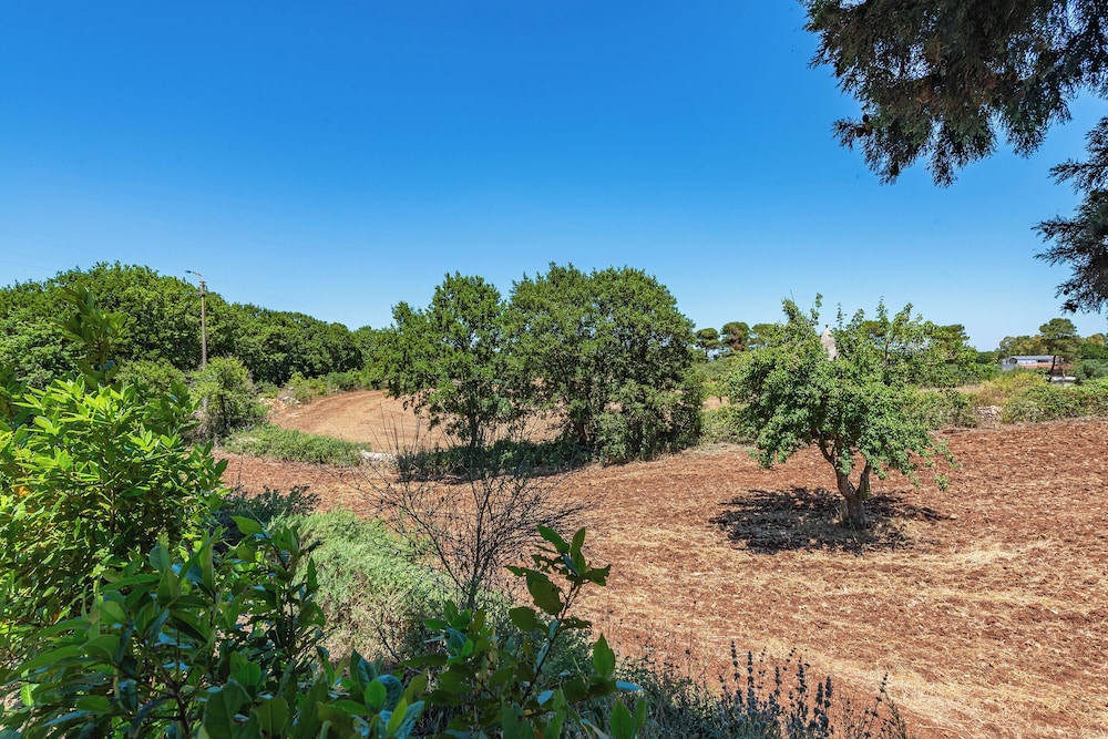 trullo del pomo bianco martina franca