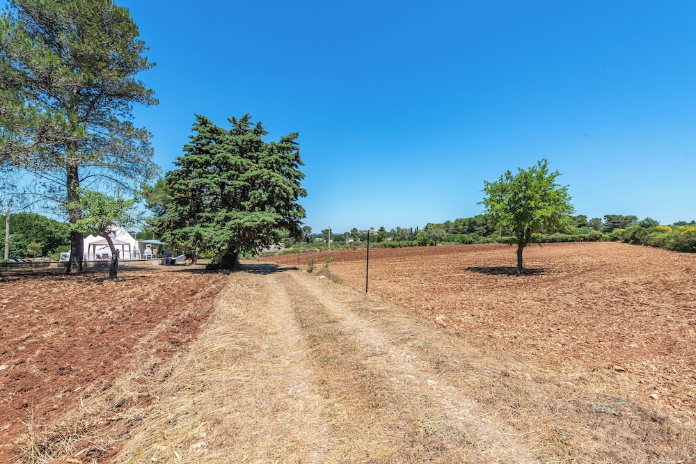 trullo del pomo bianco martina franca