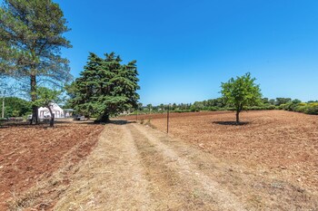 trullo del pomo bianco martina franca