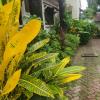 landj modern backpackers kinondoni
