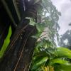 landj modern backpackers kinondoni