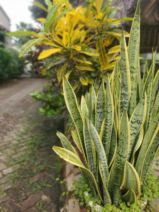 landj modern backpackers kinondoni