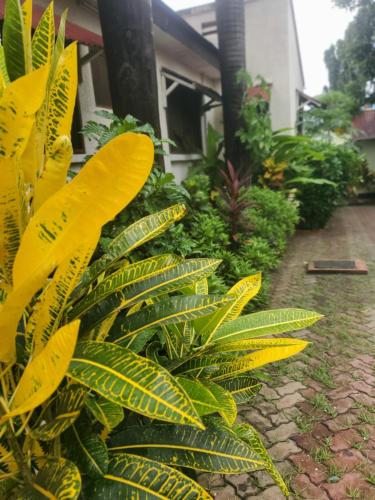 landj modern backpackers kinondoni