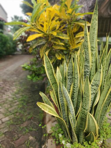 landj modern backpackers kinondoni