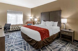 comfort inn and suites